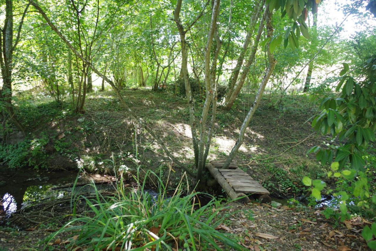 Souvigny-de-Touraine Gite Du Moulin De Vandon מראה חיצוני תמונה